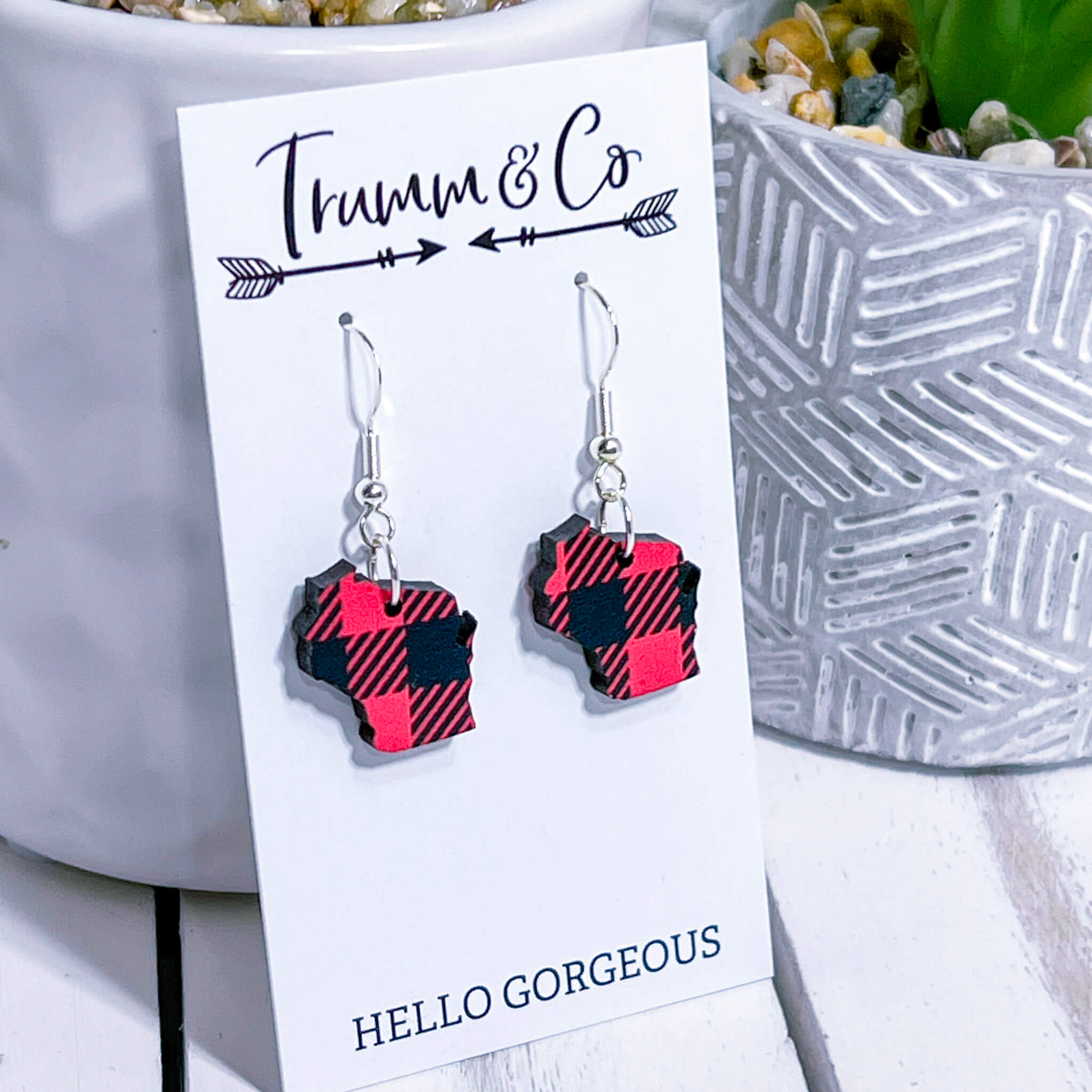 State-ment Earrings